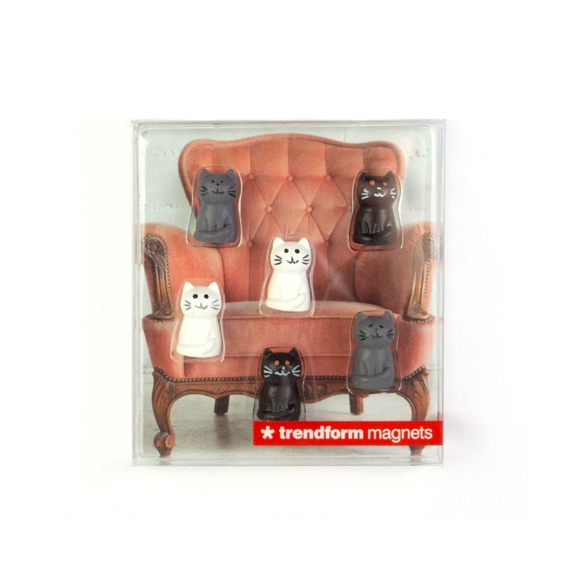 Katzen Magnete für Kühlschrank - 6er Set