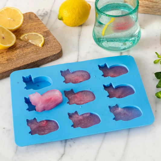 Eiswürform in Katzendesign Küchenutensilien