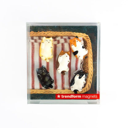 kleine Katzen Magnete bunt - Kühlschrankmagnete