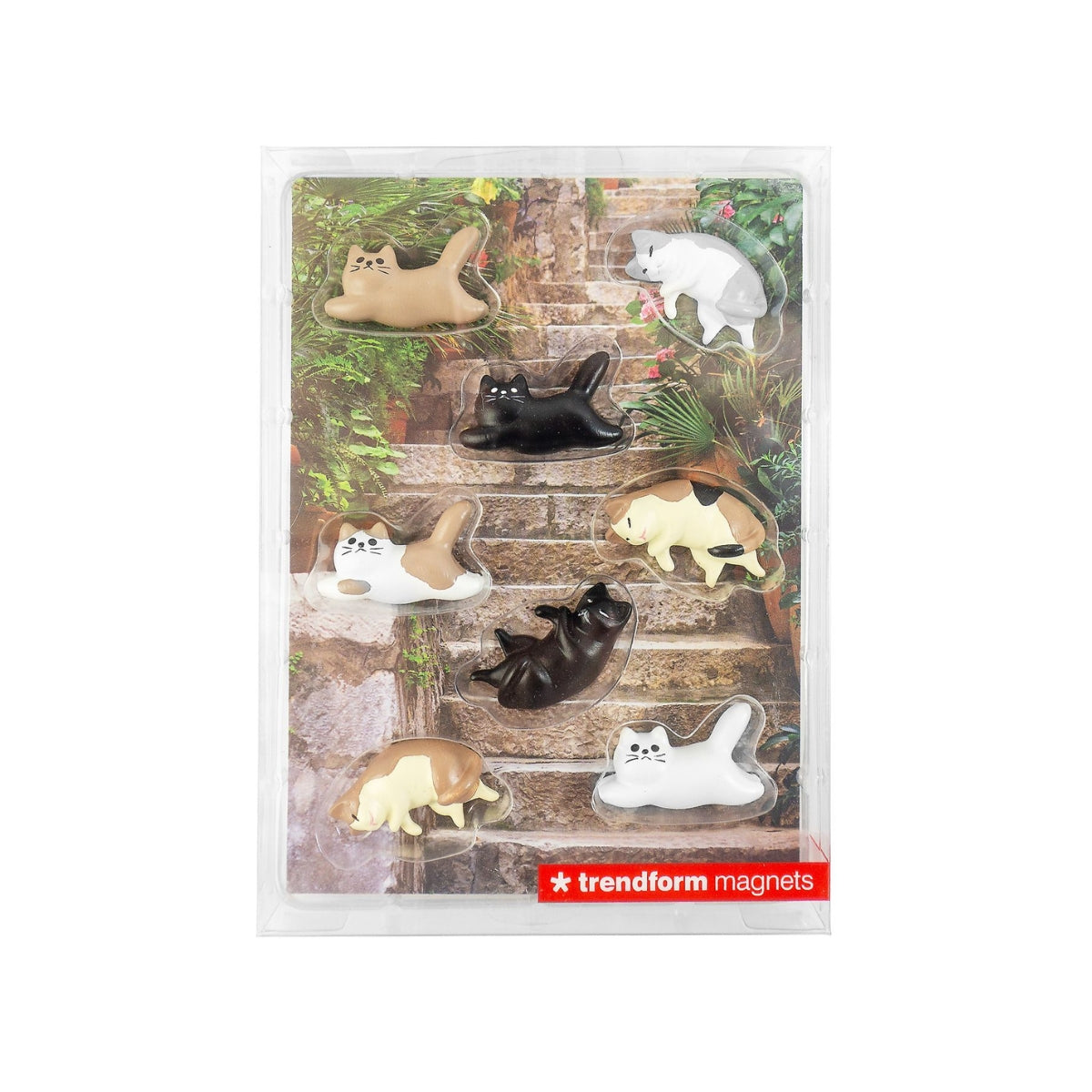 faule Katzen Magnete - 8er Set