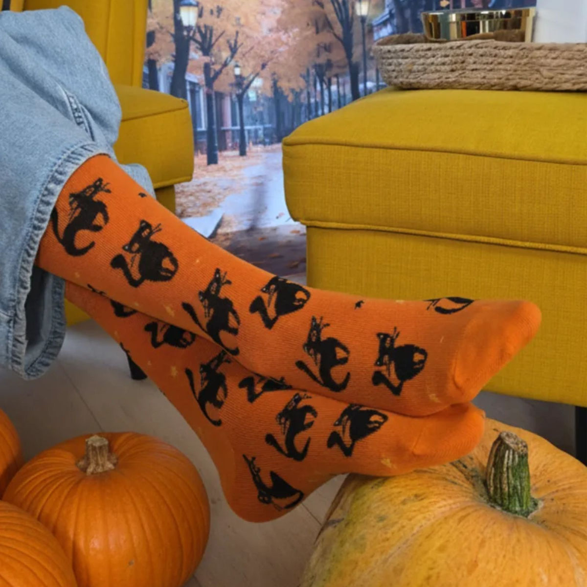 Halloween Socken mit schwarzen Katzen - orange