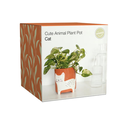 Blumentopf mit Katze Winkee