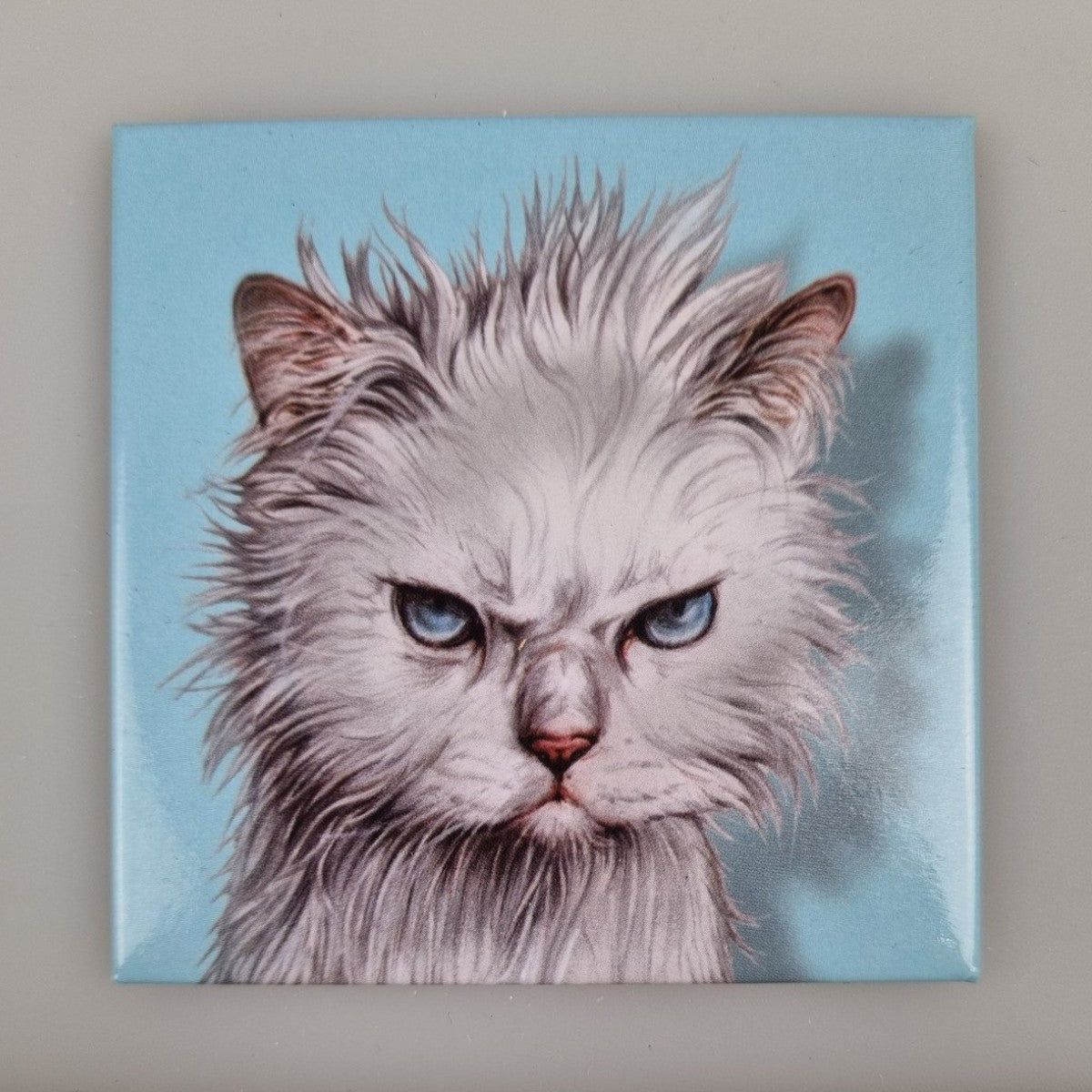 Kühlschrankmagnet mit zerzauster Katze Magnet