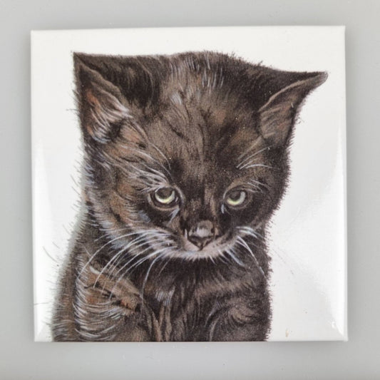 Kühlschrankmagnet - schmollende Katze Magnet