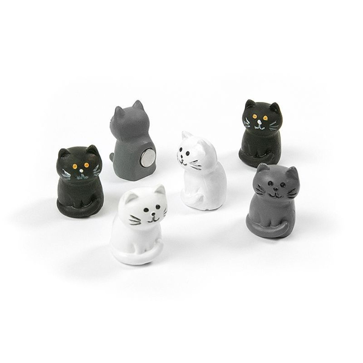 Katzen Magnete für Kühlschrank - 6er Set