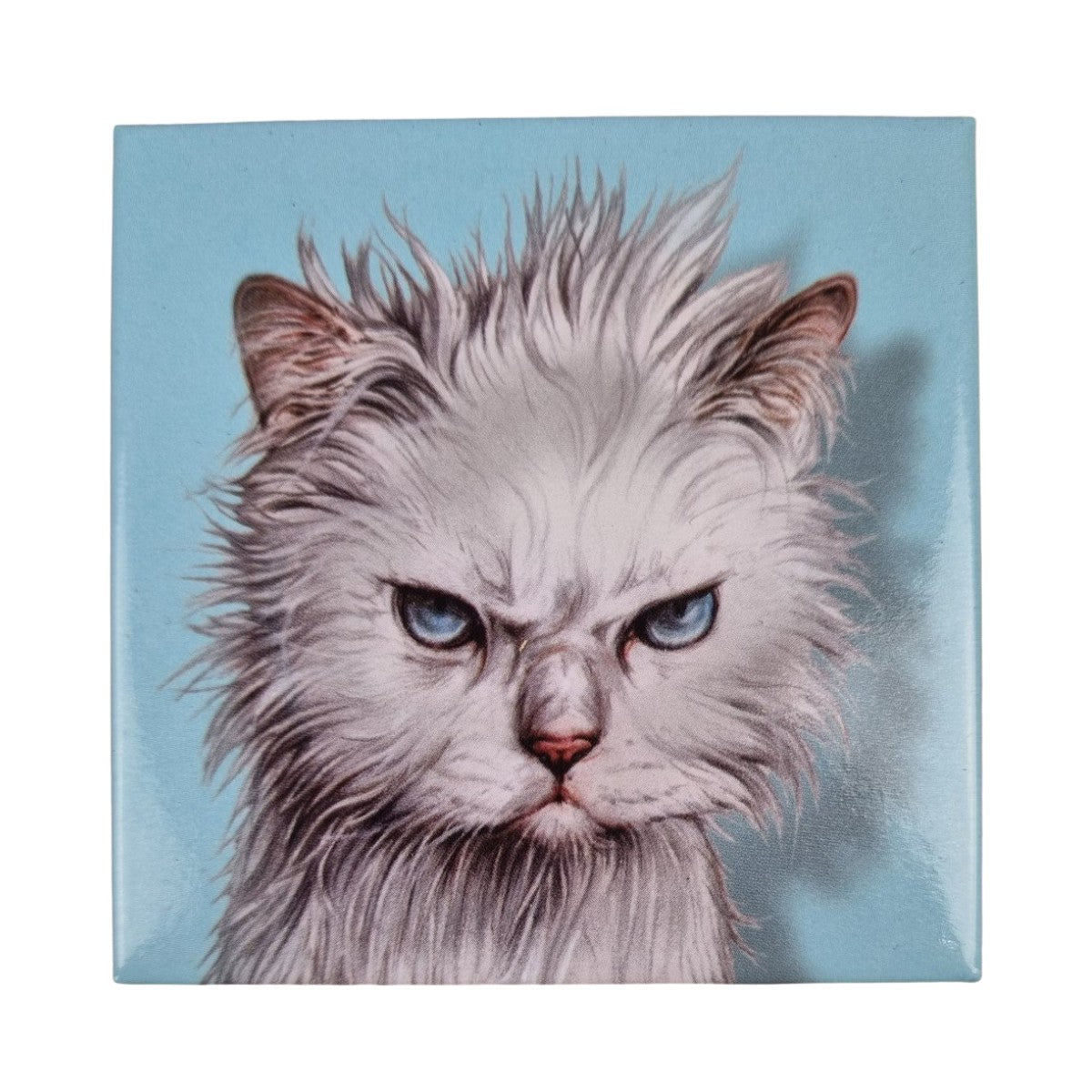 Kühlschrankmagnet mit zerzauster Katze Magnet