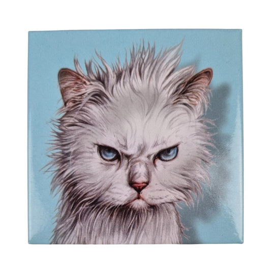 Kühlschrankmagnet mit zerzauster Katze Magnet