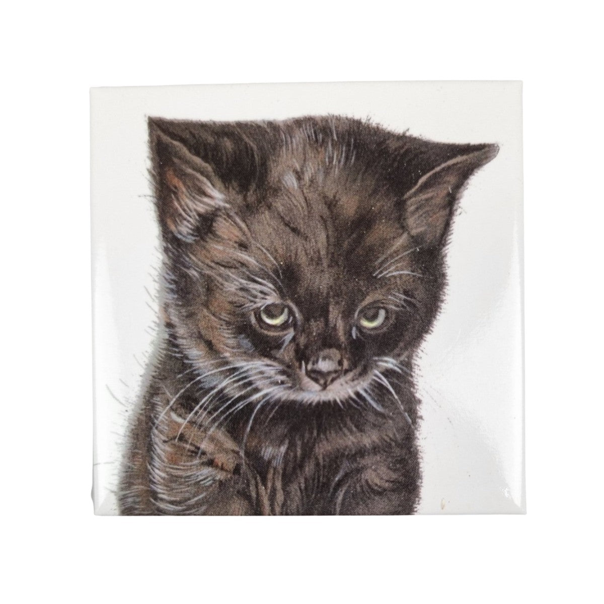 Kühlschrankmagnet - schmollende Katze Magnet