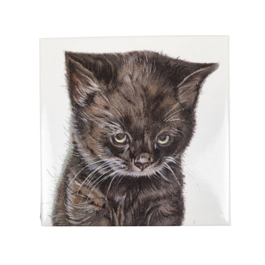 Kühlschrankmagnet - schmollende Katze Magnet