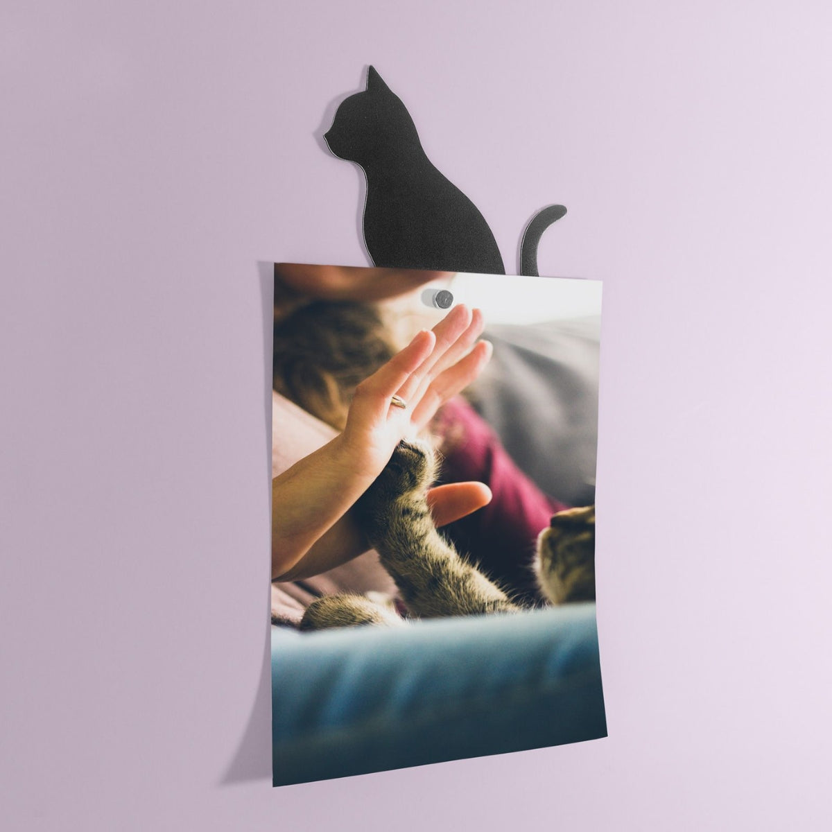 Selbstklebende Haftflaechen Katze für Magnete