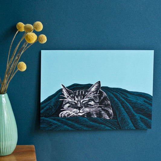 Poster schlafende Katze - A4 Poster