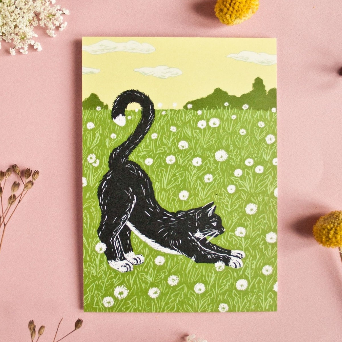 Postkarte Katze auf Wiese Postkarte