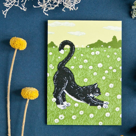 Postkarte Katze auf Wiese Postkarte