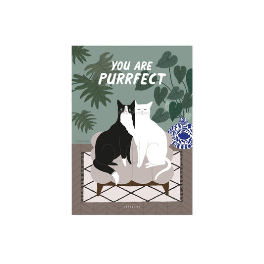 Postkarte mit Katzen - You Are Purrfect mit kuschelnden Katzen Postkarte