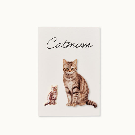 Ansteckpin Catmum mit Karte - Emaille Katze Ansteckpin