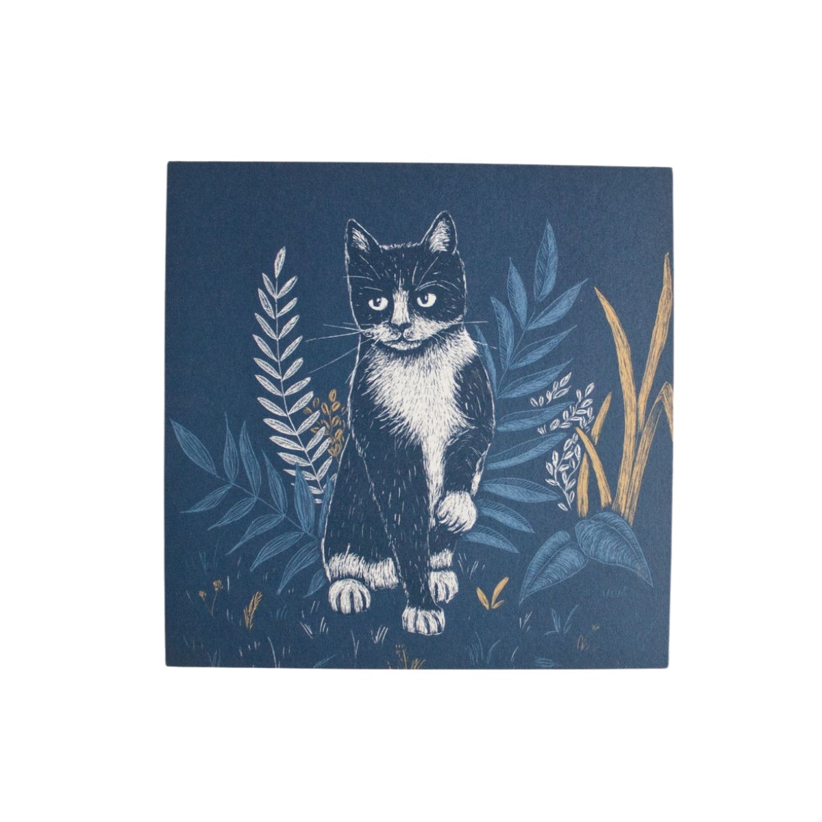 quadratische Postkarte Katze mit Pflanzen Postkarte