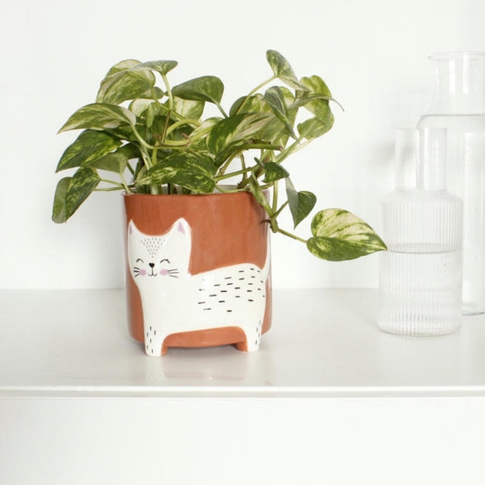 Blumentopf mit Katze Winkee