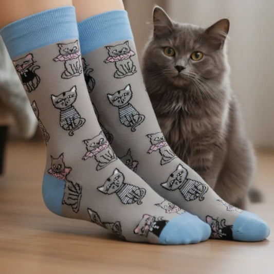 grau-blaue Socken mit lustigen Katzen