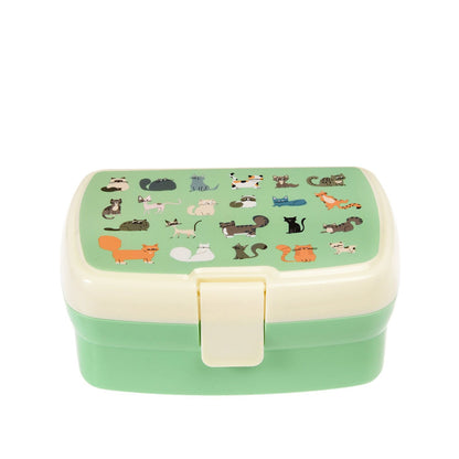 grüne Lunchbox mit Katzen - Nine Lives
