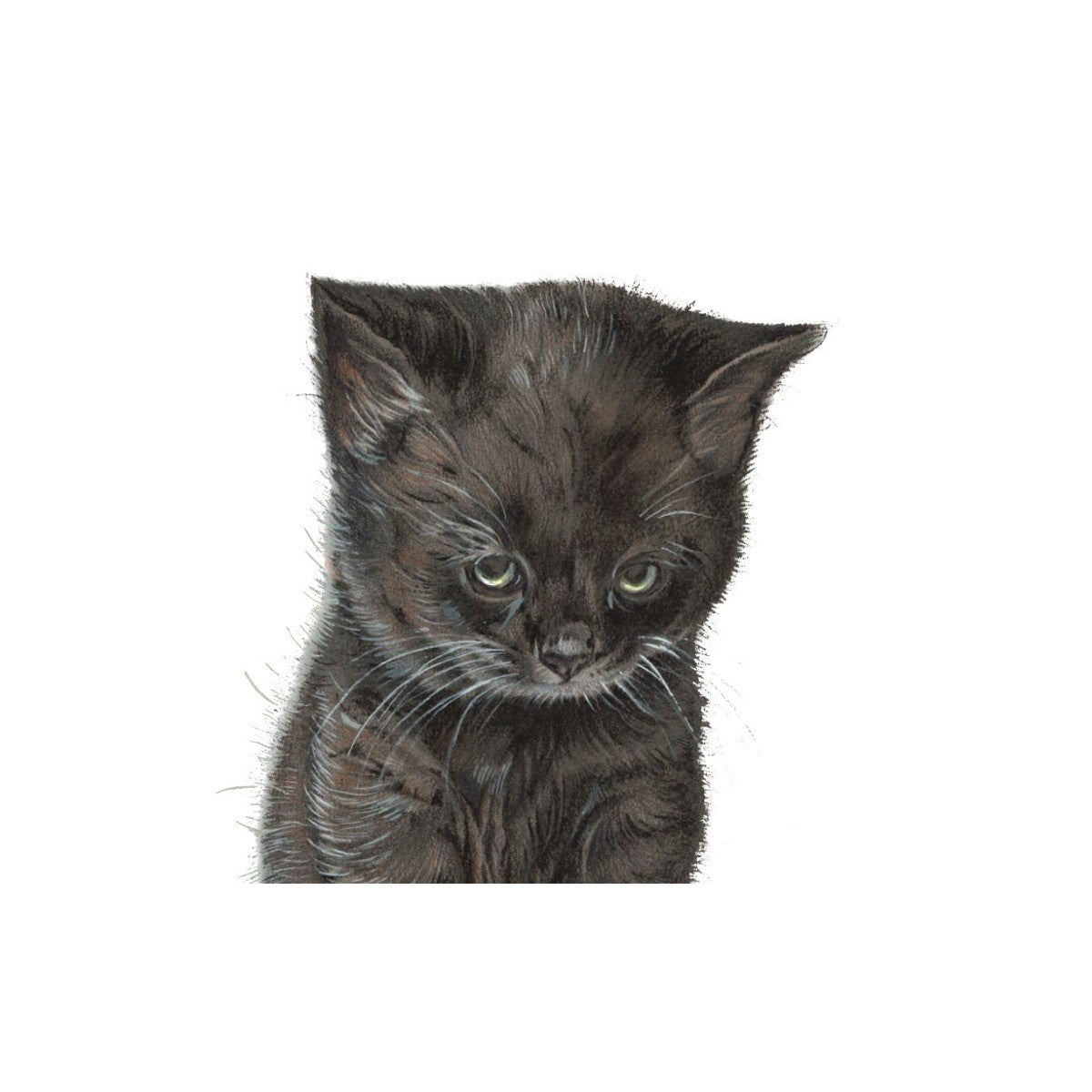 Kühlschrankmagnet - schmollende Katze Magnet