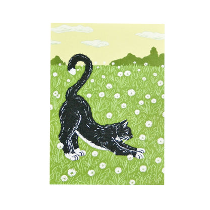 Postkarte Katze auf Wiese Postkarte