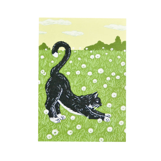 Postkarte Katze auf Wiese Postkarte